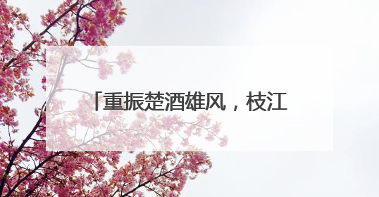 重振楚酒雄风，枝江酒业再续百年辉煌