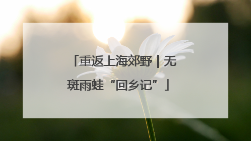 重返上海郊野｜无斑雨蛙“回乡记”