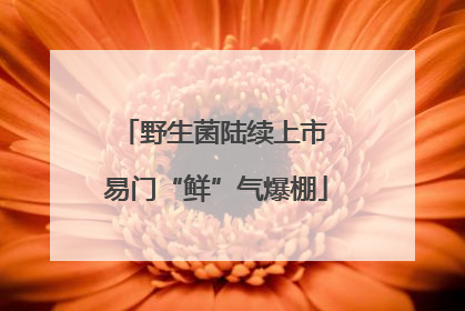 野生菌陆续上市 易门“鲜”气爆棚