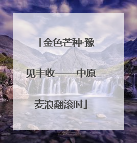金色芒种·豫见丰收——中原麦浪翻滚时