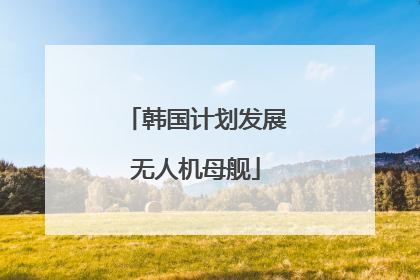韩国计划发展无人机母舰
