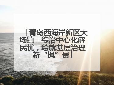 青岛西海岸新区大场镇：综治中心化解民忧，绘就基层治理新“枫”景