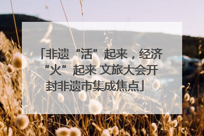 非遗“活”起来，经济“火”起来 文旅大会开封非遗市集成焦点
