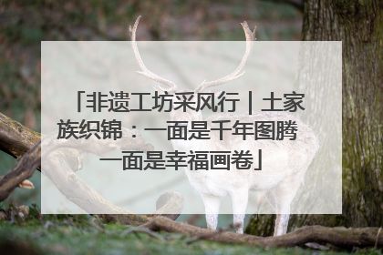 非遗工坊采风行｜土家族织锦：一面是千年图腾 一面是幸福画卷