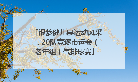 银龄健儿展运动风采，20队竞逐市运会（老年组）气排球赛