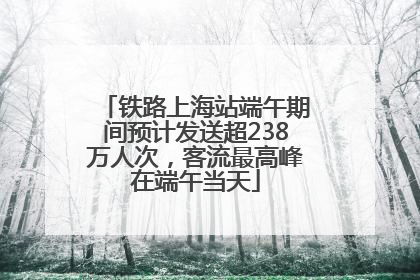 铁路上海站端午期间预计发送超238万人次，客流最高峰在端午当天
