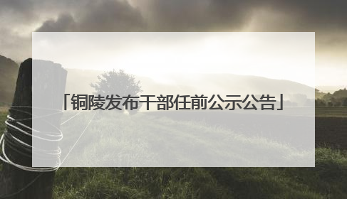 铜陵发布干部任前公示公告