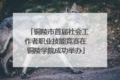 铜陵市首届社会工作者职业技能竞赛在铜陵学院成功举办