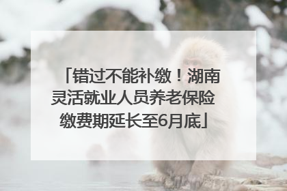 错过不能补缴！湖南灵活就业人员养老保险缴费期延长至6月底