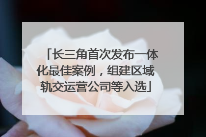 长三角首次发布一体化最佳案例，组建区域轨交运营公司等入选