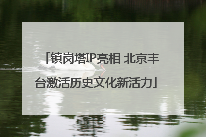 镇岗塔IP亮相 北京丰台激活历史文化新活力