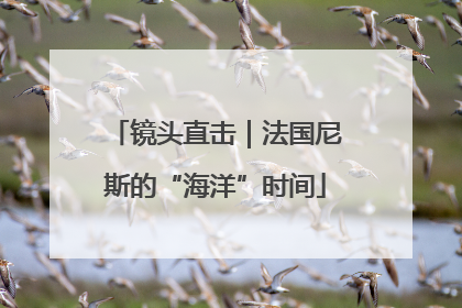 镜头直击｜法国尼斯的“海洋”时间