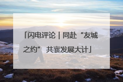 闪电评论｜同赴“友城之约” 共襄发展大计