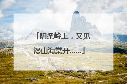 阴条岭上，又见漫山海棠开……