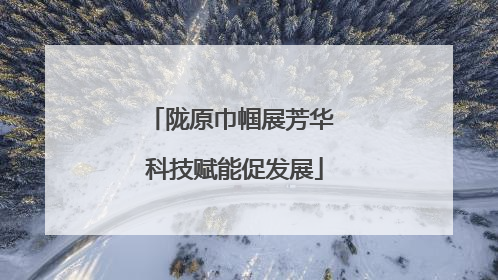 陇原巾帼展芳华 科技赋能促发展