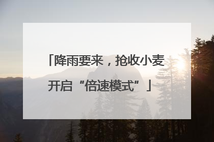 降雨要来，抢收小麦开启“倍速模式”