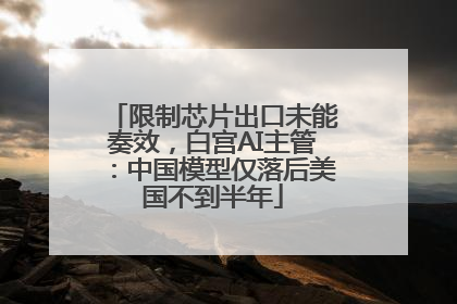 限制芯片出口未能奏效，白宫AI主管：中国模型仅落后美国不到半年