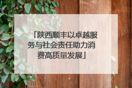 陕西顺丰以卓越服务与社会责任助力消费高质量发展