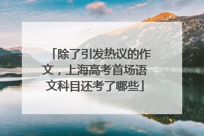 除了引发热议的作文，上海高考首场语文科目还考了哪些