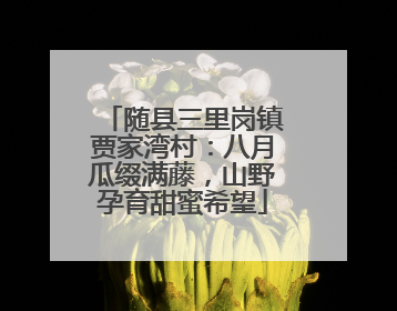 随县三里岗镇贾家湾村：八月瓜缀满藤，山野孕育甜蜜希望