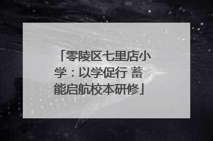 零陵区七里店小学：以学促行 蓄能启航校本研修