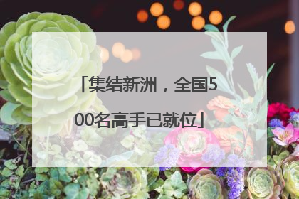集结新洲，全国500名高手已就位