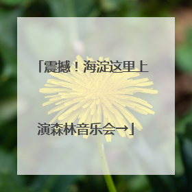 震撼！海淀这里上演森林音乐会→
