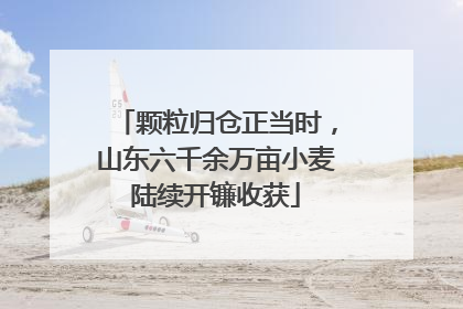 颗粒归仓正当时，山东六千余万亩小麦陆续开镰收获