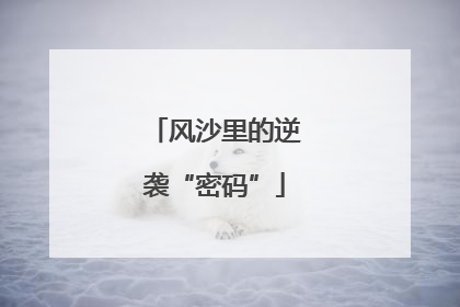 风沙里的逆袭“密码”