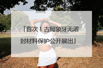 首次！古蜀象牙无灌封材料保护公开展出