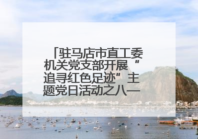 驻马店市直工委机关党支部开展“追寻红色足迹”主题党日活动之八——鏖战独树镇
