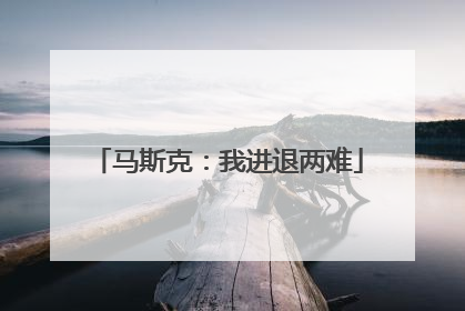 马斯克：我进退两难