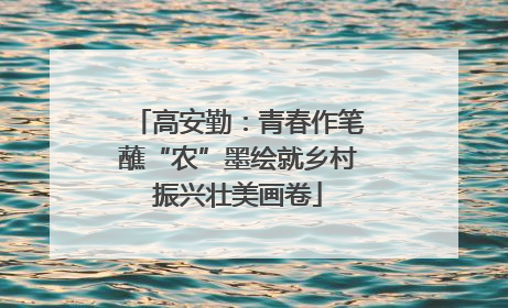 高安勤：青春作笔蘸“农”墨绘就乡村振兴壮美画卷