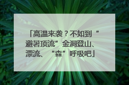 高温来袭？不如到“避暑顶流”金洞登山、漂流、“森”呼吸吧