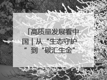 高质量发展看中国｜从“生态守护”到“碳汇生金”——中国石油大庆油田绿色蝶变