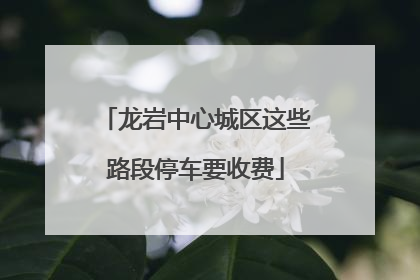 龙岩中心城区这些路段停车要收费