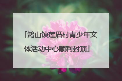 鸿山镇莲厝村青少年文体活动中心顺利封顶