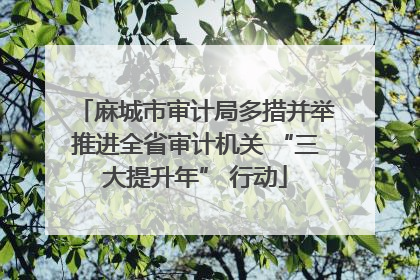 麻城市审计局多措并举推进全省审计机关 “三大提升年” 行动