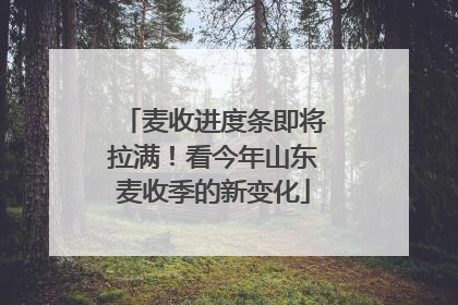 麦收进度条即将拉满！看今年山东麦收季的新变化