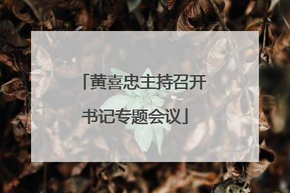 黄喜忠主持召开书记专题会议