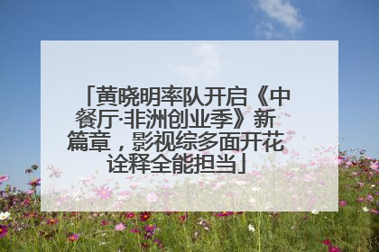 黄晓明率队开启《中餐厅·非洲创业季》新篇章，影视综多面开花诠释全能担当