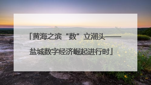 黄海之滨“数”立潮头——盐城数字经济崛起进行时