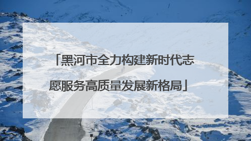黑河市全力构建新时代志愿服务高质量发展新格局