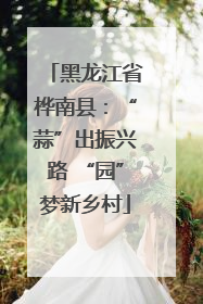 黑龙江省桦南县：“蒜”出振兴路 “园”梦新乡村