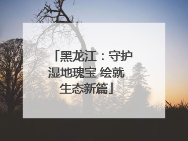黑龙江：守护湿地瑰宝 绘就生态新篇