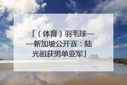 （体育）羽毛球——新加坡公开赛：陆光祖获男单亚军
