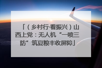 （乡村行·看振兴）山西上党：无人机“一喷三防”筑夏粮丰收屏障