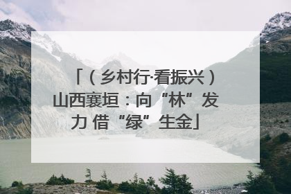 （乡村行·看振兴）山西襄垣：向“林”发力 借“绿”生金