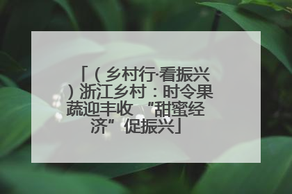 （乡村行·看振兴）浙江乡村：时令果蔬迎丰收 “甜蜜经济”促振兴