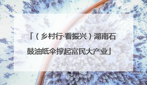（乡村行·看振兴）湖南石鼓油纸伞撑起富民大产业